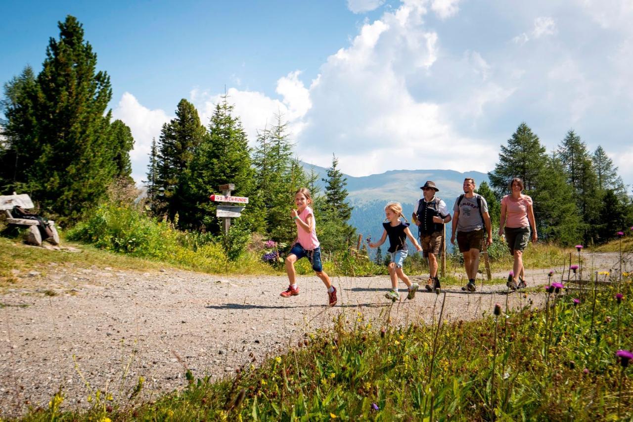 Naturpark Huette Mandl, Biobauernhof & Huettenurlaub Sankt Lambrecht Exteriér fotografie