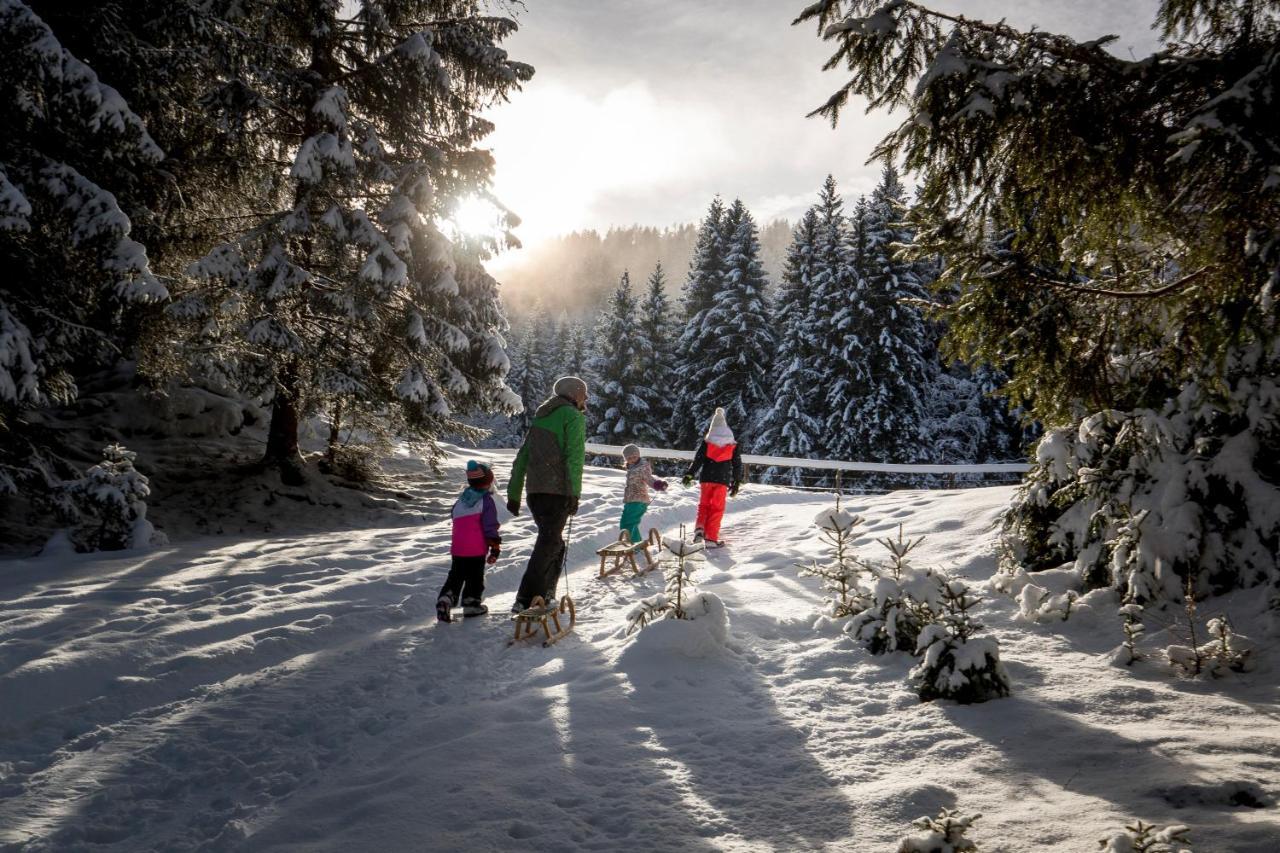 Naturpark Huette Mandl, Biobauernhof & Huettenurlaub Sankt Lambrecht Exteriér fotografie