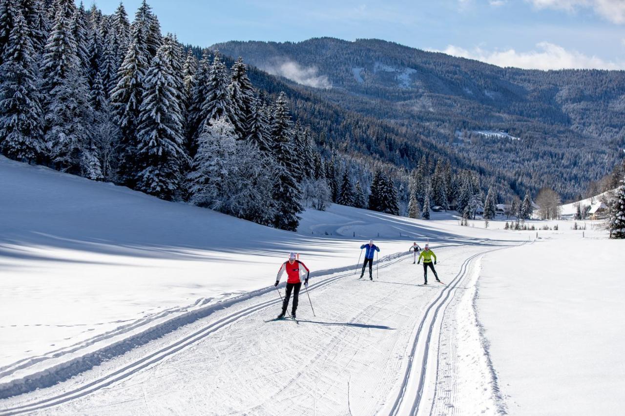 Naturpark Huette Mandl, Biobauernhof & Huettenurlaub Sankt Lambrecht Exteriér fotografie