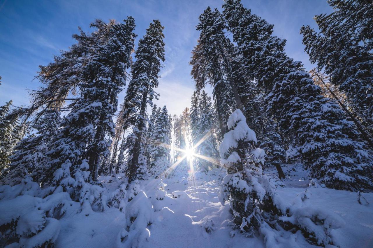 Naturpark Huette Mandl, Biobauernhof & Huettenurlaub Sankt Lambrecht Exteriér fotografie