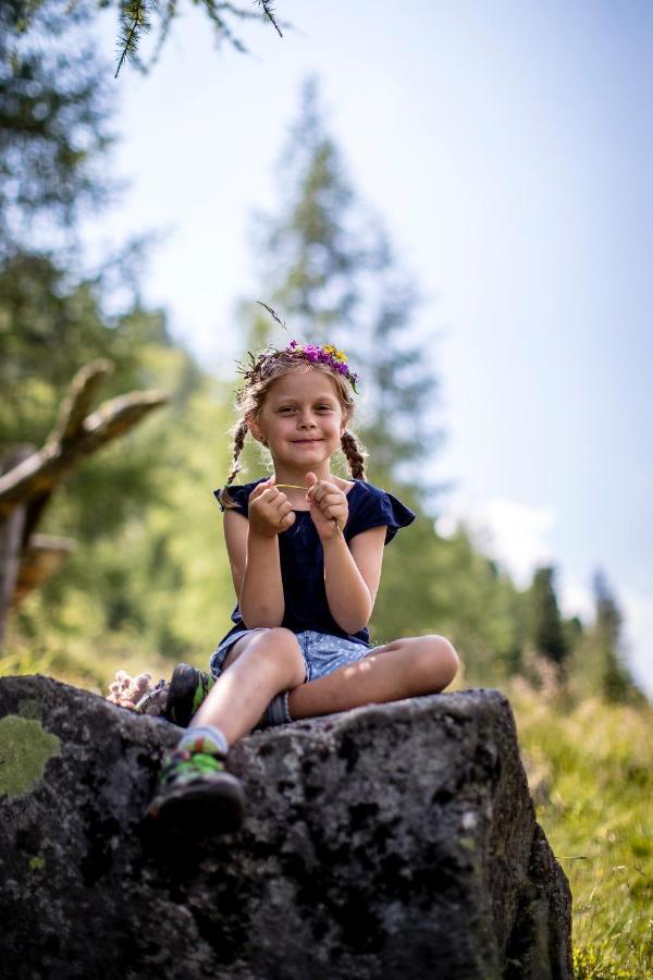 Naturpark Huette Mandl, Biobauernhof & Huettenurlaub Sankt Lambrecht Exteriér fotografie
