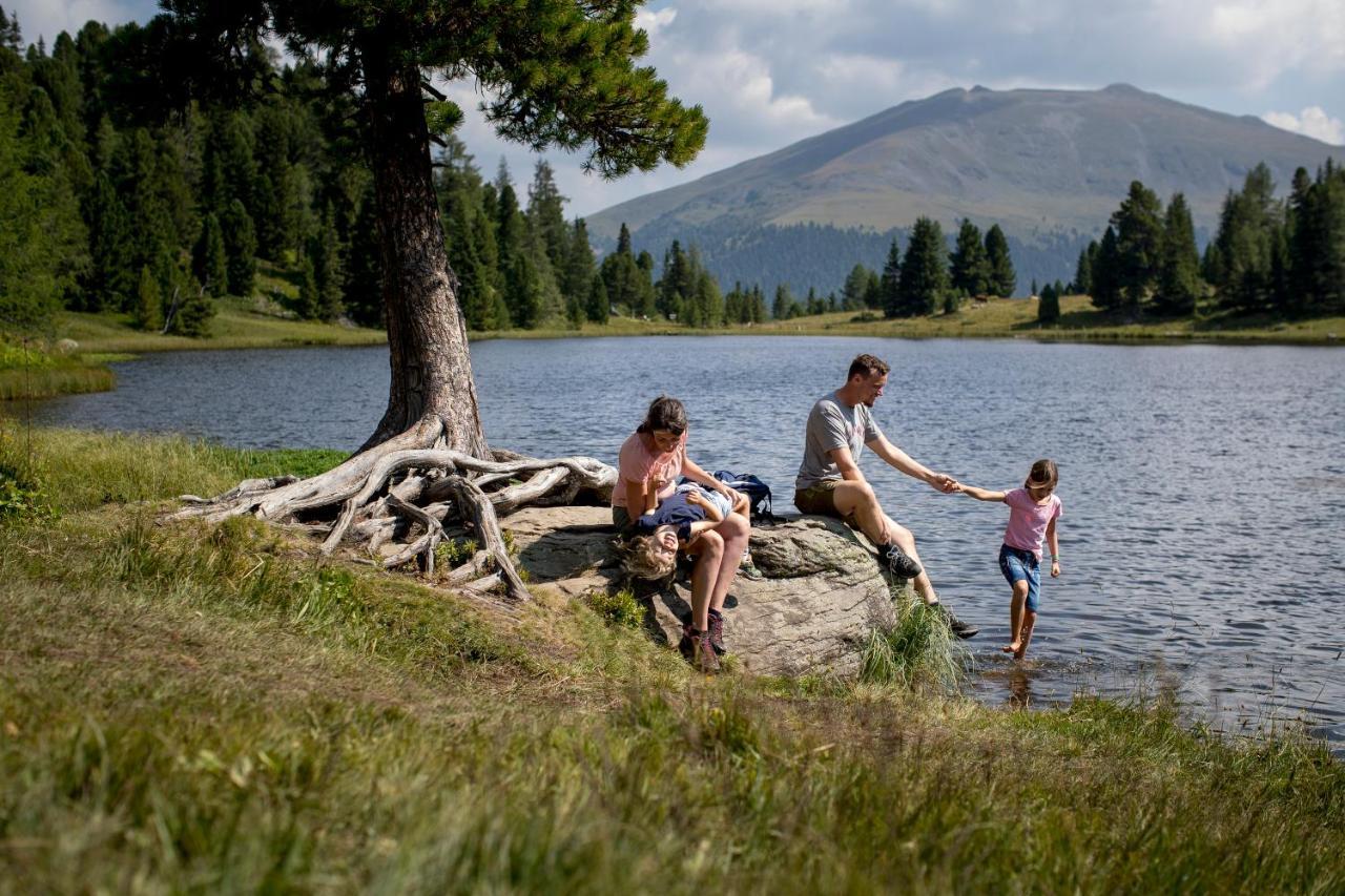 Naturpark Huette Mandl, Biobauernhof & Huettenurlaub Sankt Lambrecht Exteriér fotografie